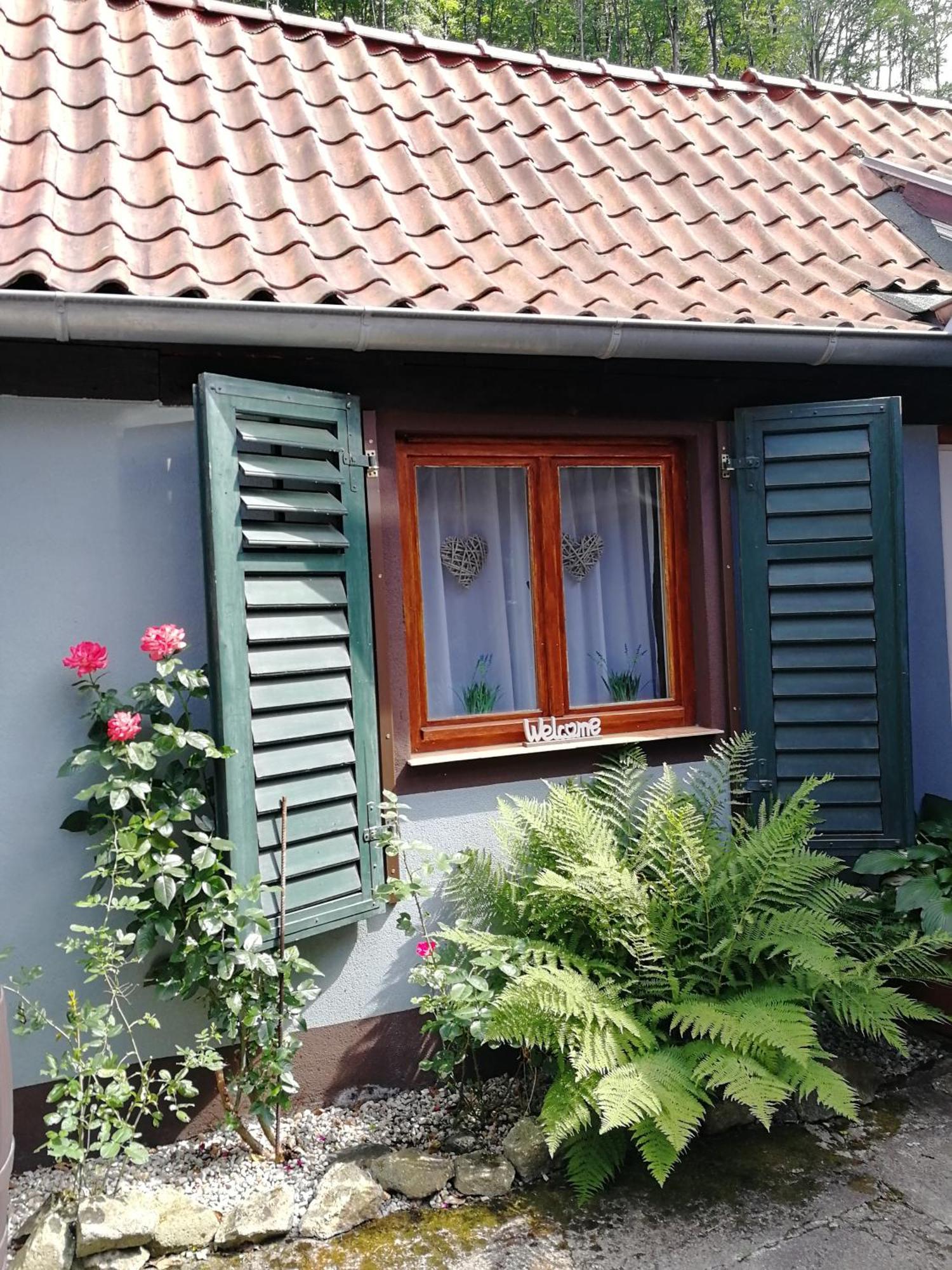 Ferienhaus Rosaly Stolberg i. Harz Exterior foto