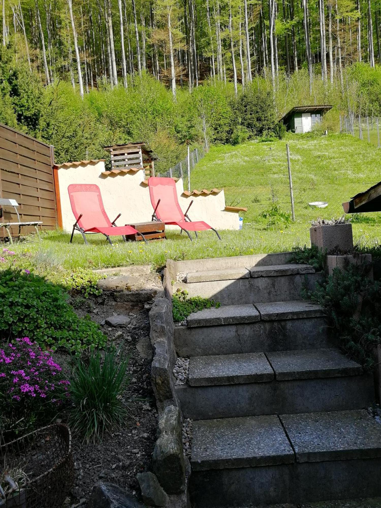 Ferienhaus Rosaly Stolberg i. Harz Exterior foto
